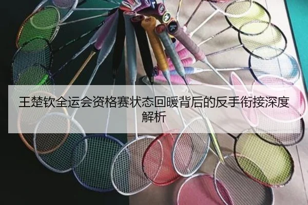 王楚钦全运会资格赛状态回暖背后的反手衔接深度解析